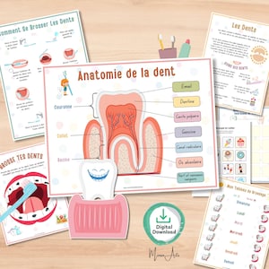 Santé Dentaire et Anatomy à Imprimer pour une Meilleure Hygiène Bucco-Dentaire |マテルネル、エコール・ア・ラ・メゾン・エ・トウ・プティの活動