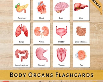 Discover the Human Body Organ Watercolor Flashcards | Nomenclature PRINTABLE Text Editable Montessori Cards for Kids - PDF