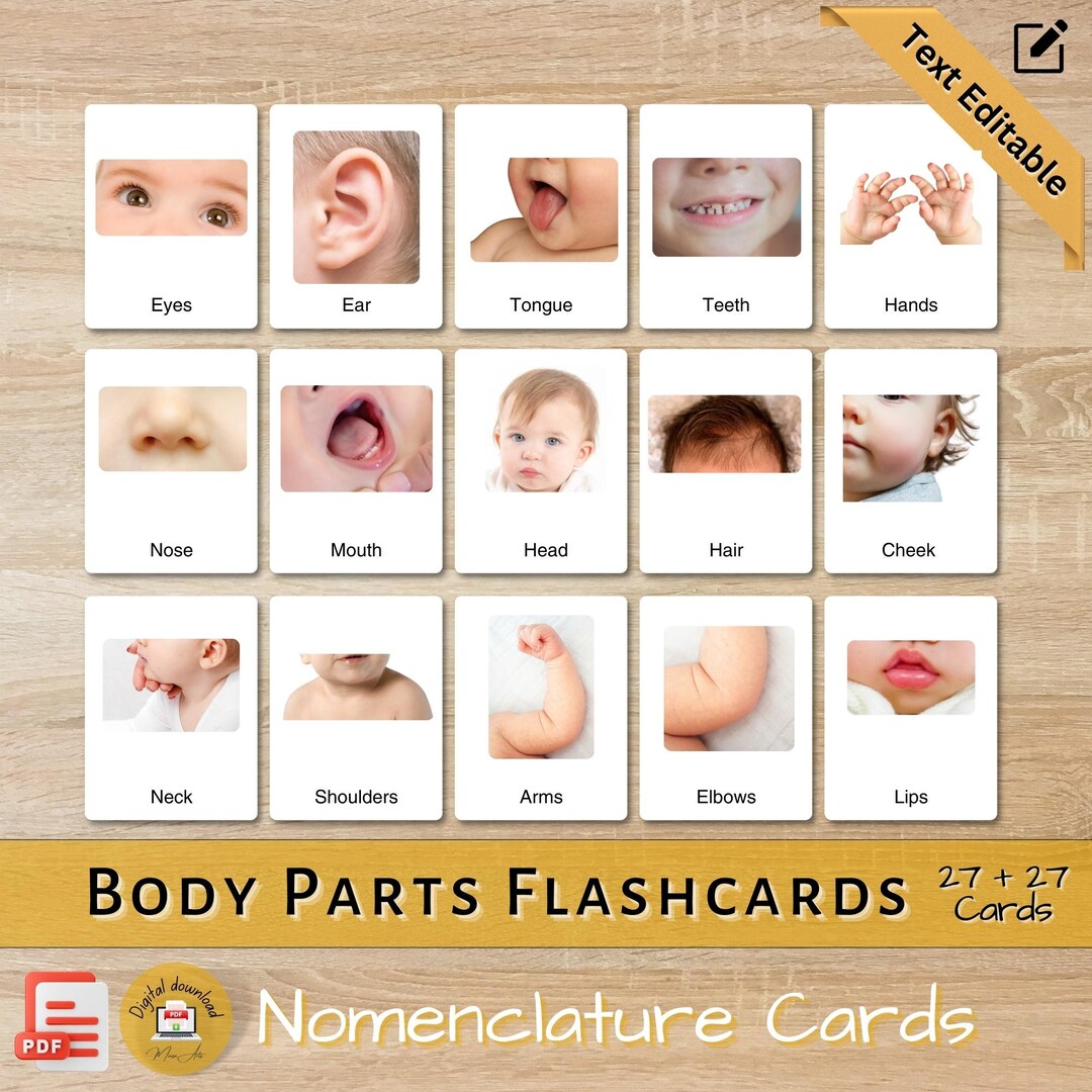 Body Parts Flashcards Real Picture Nomenclature PRINTABLE Text Editable ...
