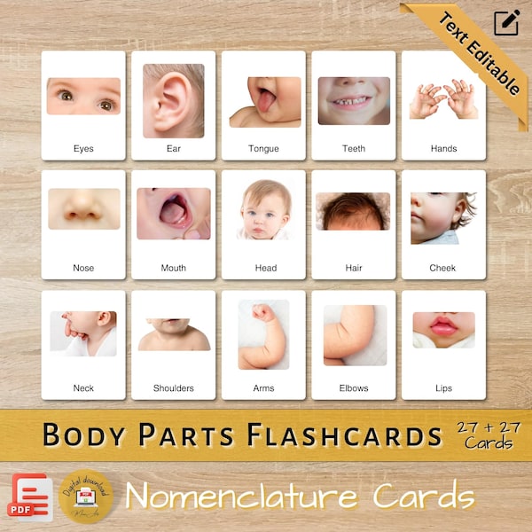 Body Parts Nomenclature - Etsy