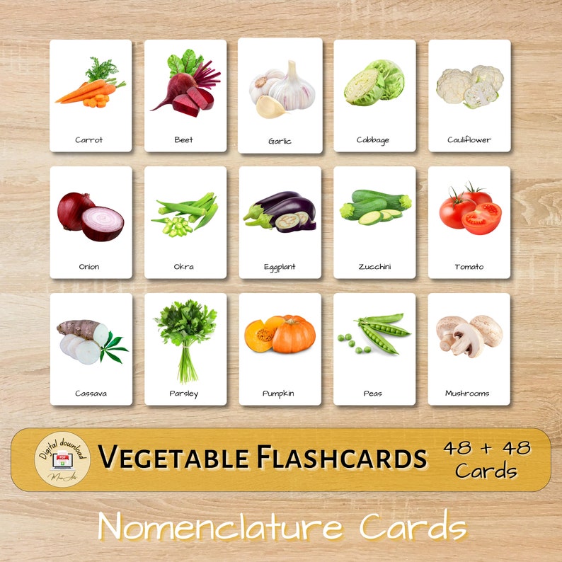 48 Vegetable Flashcards Real Picture Nomenclature Cards for Etsy