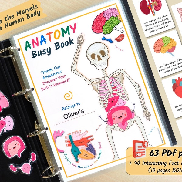 Menselijke anatomie druk boek AFDRUKBARE werkbladen van het menselijk lichaam | Voorschools curriculum, Homeschool-leermap voor peuters - PDF