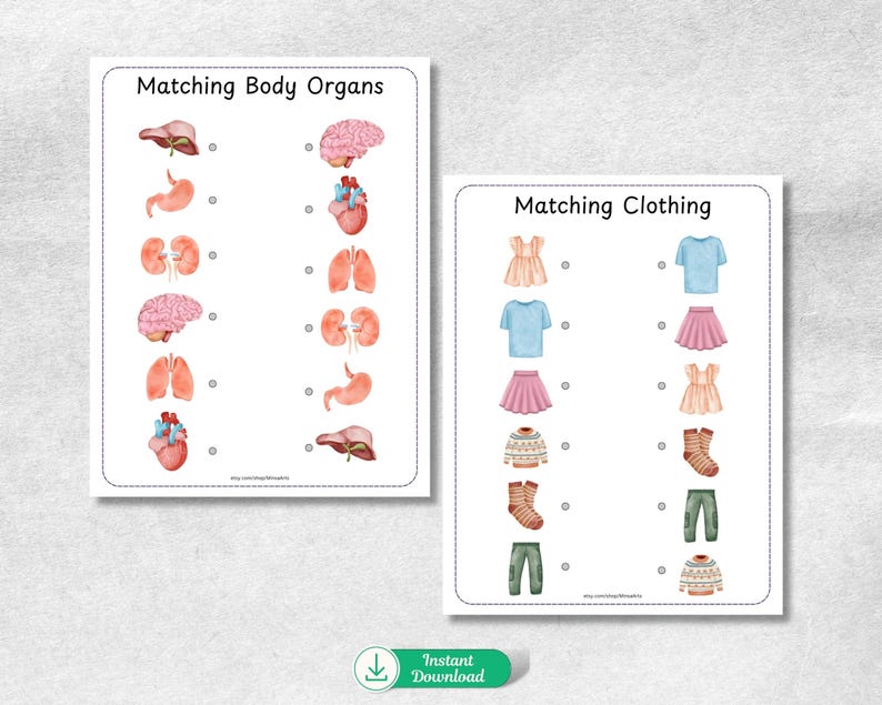 May include: Two printable worksheets for kids. The first worksheet is titled "Matching Body Organs" and features illustrations of various human organs. The second worksheet is titled "Matching Clothing" and features illustrations of different clothing items.