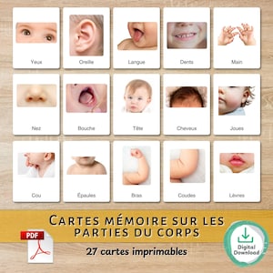 Cartes de Nomenclature des Parties du Corps avec Photos Réelles – PDF Imprimable, Texte Modifiable, Méthode Montessori pour la Maternelle