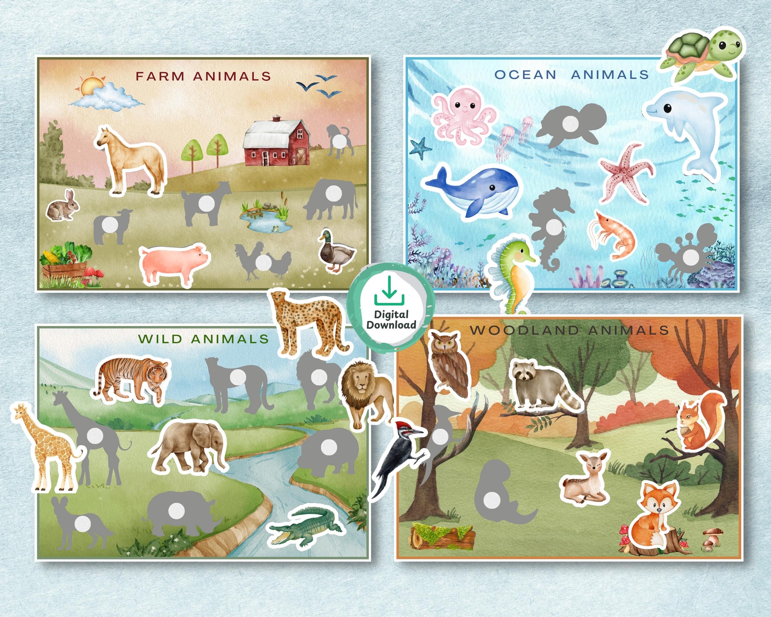 Montessori Toddler Learning Binder – Preschool Activities (digital ...