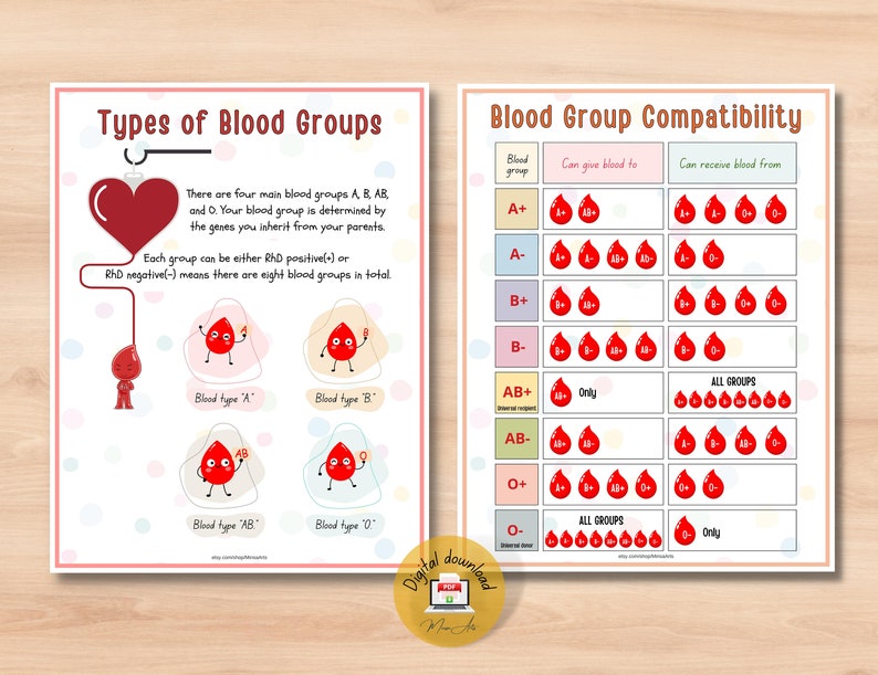 Human Heart Anatomy Printable Activity | Homeschool Curriculum | Study Bundle