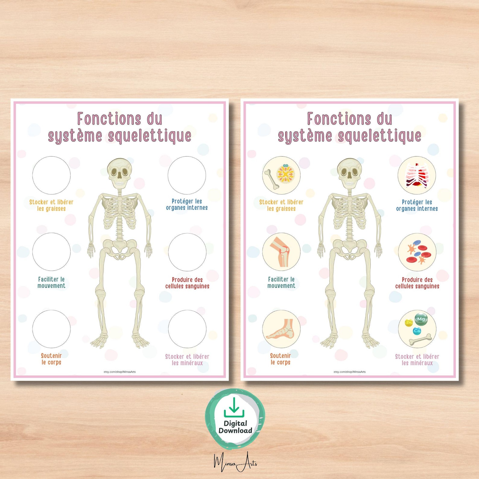 Human Skeleton Anatomy Printable Activity: Bone Types & Functions (PDF ...