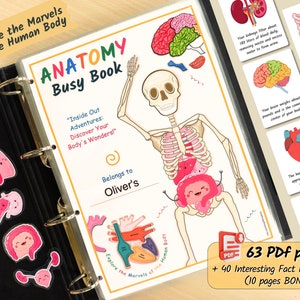 Livre occupé sur l'anatomie humaine - Feuilles de travail imprimables sur le corps humain | Programme d'études préscolaires, classeur à domicile pour tout-petits - PDF