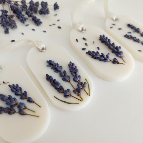 Air Freshener for Drawers Etsy