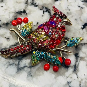 Elegant Heidi Daus Vibrant Crystal Robbin Bird brooch