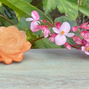 Orange Sorbet Rose Straw Topper | KAUAI |