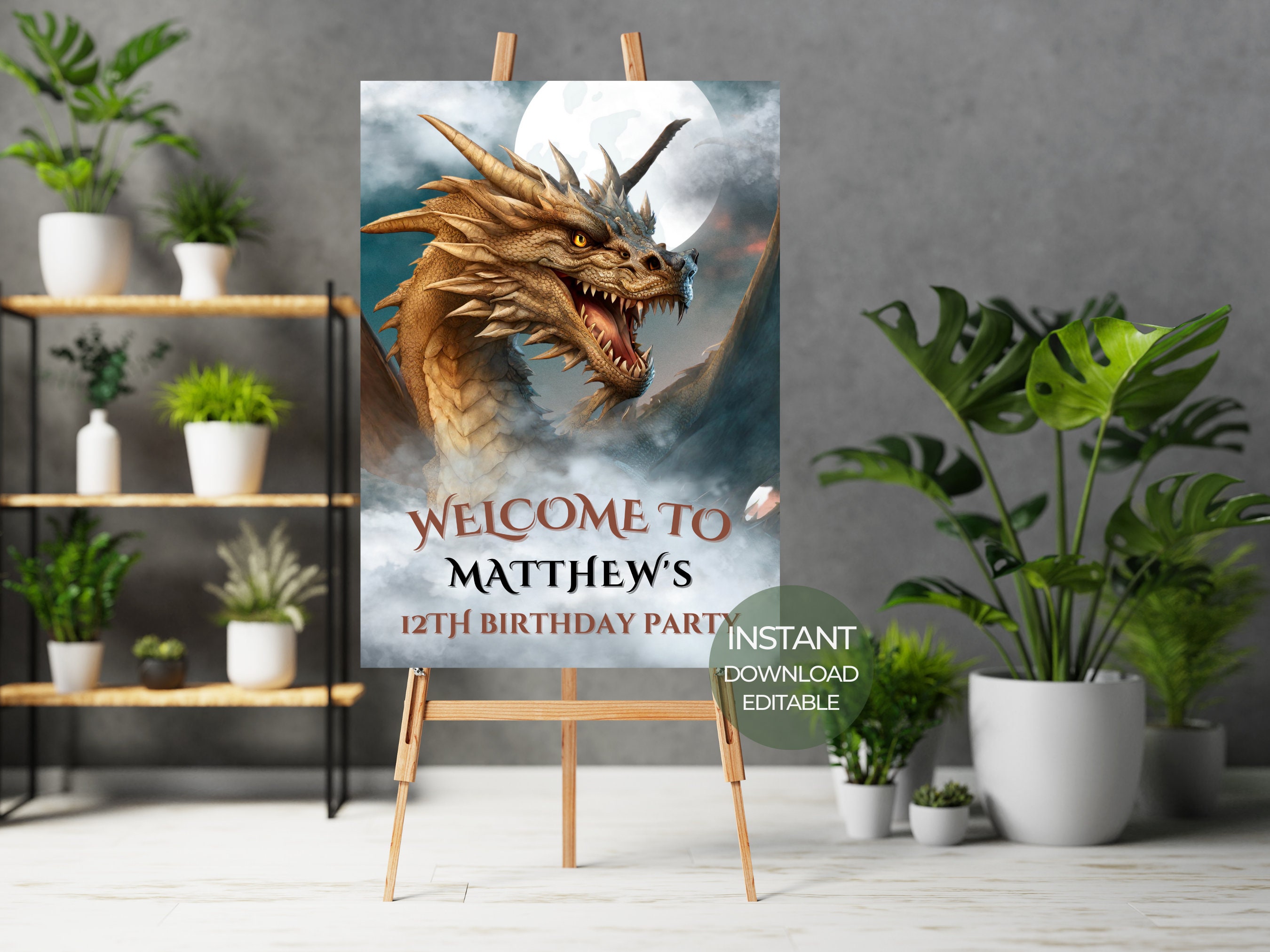 Dragons and Ship – remarkable poster wall art – Photowall