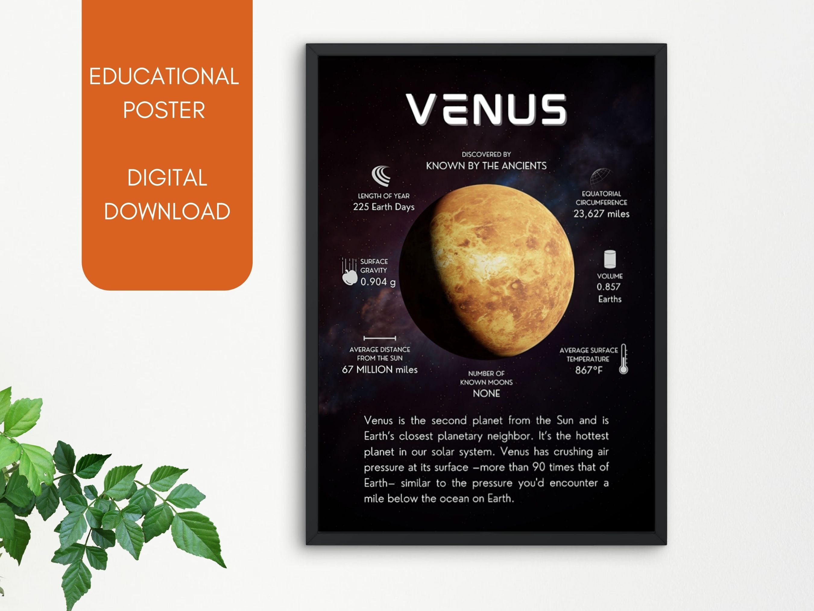 Habitat Modig Arkæolog Planet Venus Poster Digital PDF Classroom Wall Art - Etsy