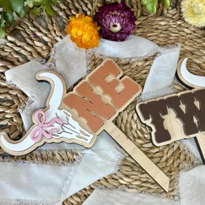 First Rodeo Cake Topper, This Ain&#39;t My First Rodeo, Western Birthday Decor, Western Decor, Rodeo Birthday Party Decor, First Birthday,Second