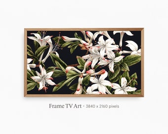 フレーム TV アート | ヴィンテージ アザレアの静物画 | モダン ミニマル フラワーズ デジタル ダウンロード | TV 壁紙