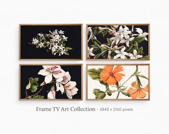 フレーム TV アート | ヴィンテージ フラワー コレクション バンドル | 植物の静物画 | デジタル ダウンロード