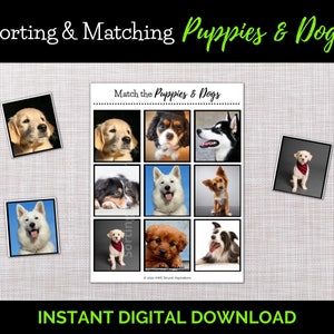Dog Matching Game: Dementia Activity, Puppy Photos (Printable PDF)