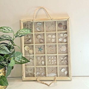 May include: A rectangular wooden shadow box tray with a rope handle at the top and bottom. The interior is divided into twenty square compartments, each filled with sand and a variety of small white, tan, and brown seashells and a blue starfish.