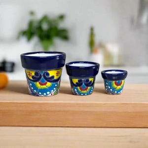 Juego de mini macetas de Talavera / Macetas mexicanas coloridas