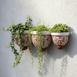 Puede incluir: Tres macetas de terracota montadas en la pared con un patrón floral blanco. La maceta izquierda contiene hiedra, la central una planta rosario y la derecha una suculenta verde. Cada maceta tiene un borde superior de color blanco.
