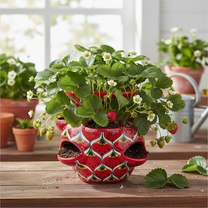Talavera Strawberry Planter | Red Peacock Design