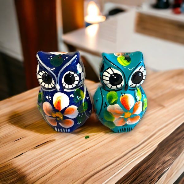 Colorful Mexican Owl Salt and Pepper Shakers Set | Hand-Painted Ceramic Kitchen Decor