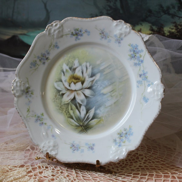 Vintage Victorian RC Rosenthal Bavaria 1891-1908 Iris Floral Water Lily Porcelain Display Plate // vtg cottage chic