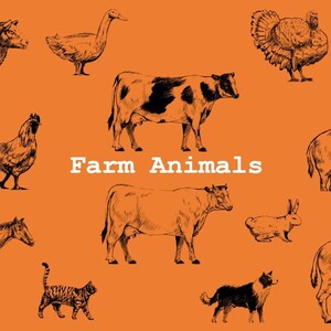 13 Farm Animals SVG, PNG, DXF, eps