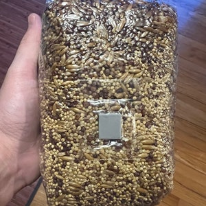 May include: A clear plastic bag filled with a variety of bird seed. The seed is a mix of brown, white, and black grains.