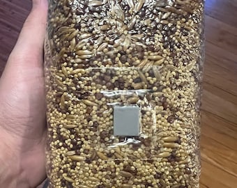 GRAIN SPAWN - 1kg BAG(s) - Select Qty