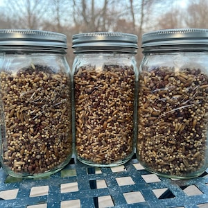 May include: Three glass jars filled with a mixture of brown, white, and tan grains. The jars have silver lids and are sitting on a blue metal table.