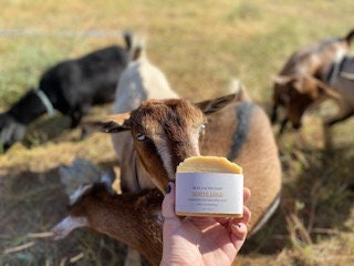 Farm Fresh Goat Milk Soap, Straight from Your Homestead! – Honey Down Farm