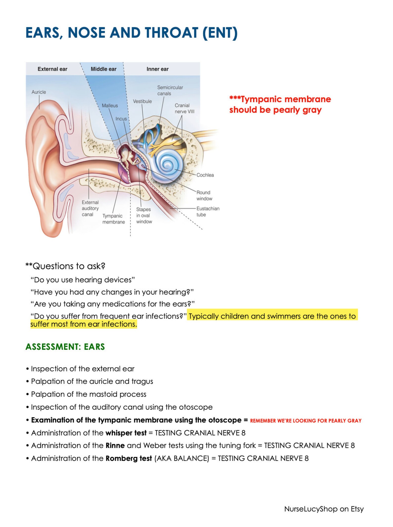 Eyes Ears Nose and Throat Physical Assessment Study Guide Etsy