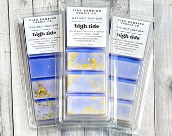 High Tide Snap Bars / Highly Scented Soy Wax Snap Bars / Strong Scented Wax Melts / Smells like Ocean Air, Musk, Cedar, Citrus and Florals