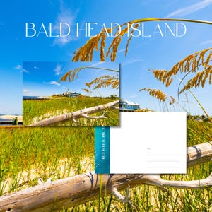Bald Head Island, NC Cartão postal / Impressão de arte de parede 4x6