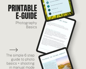 Fundamentos de fotografía - Guía electrónica - Cómo disparar en modo manual