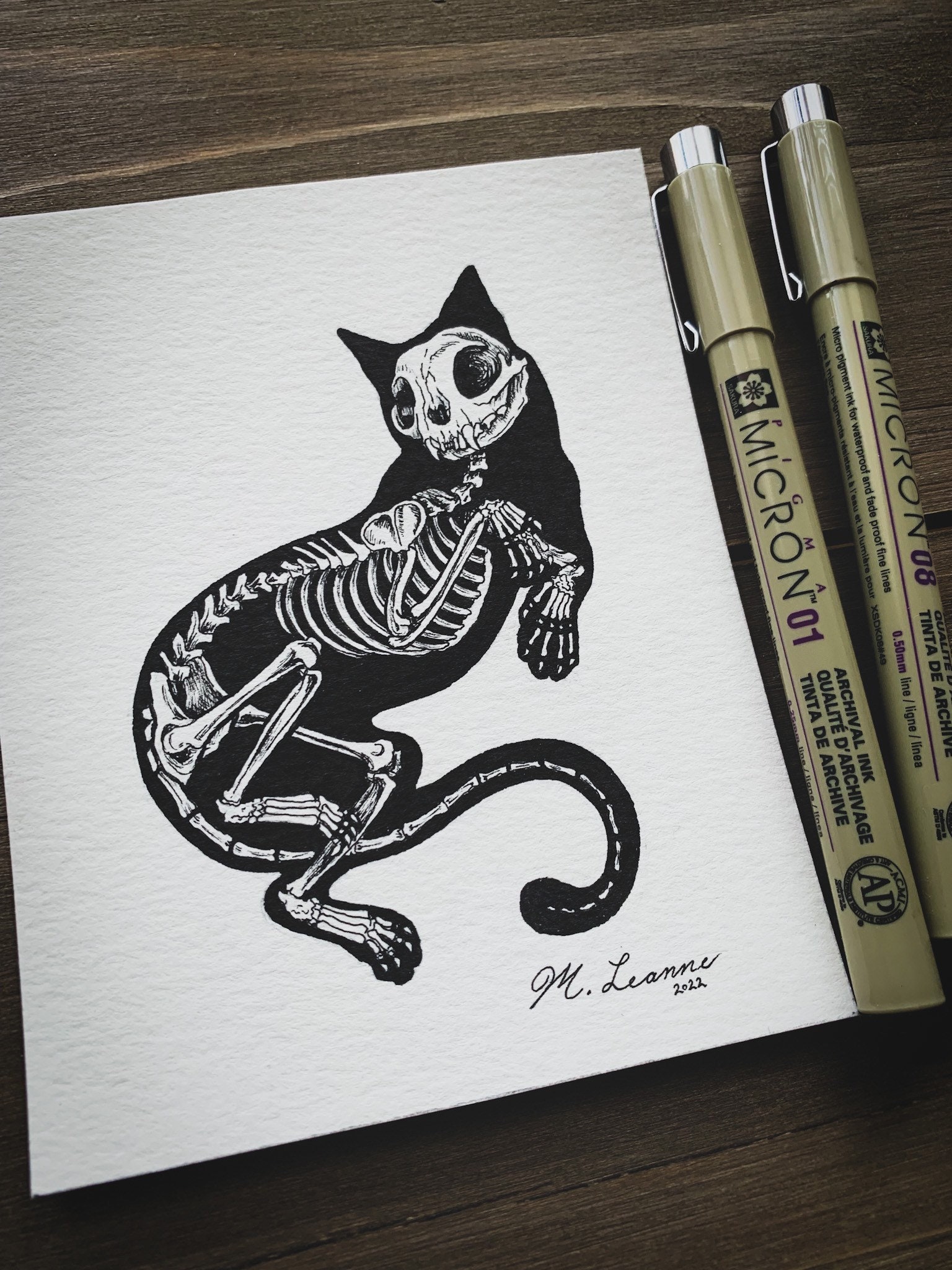 Cat Fine Art Print Skeleton Cat Drawing Original Art Print Etsy