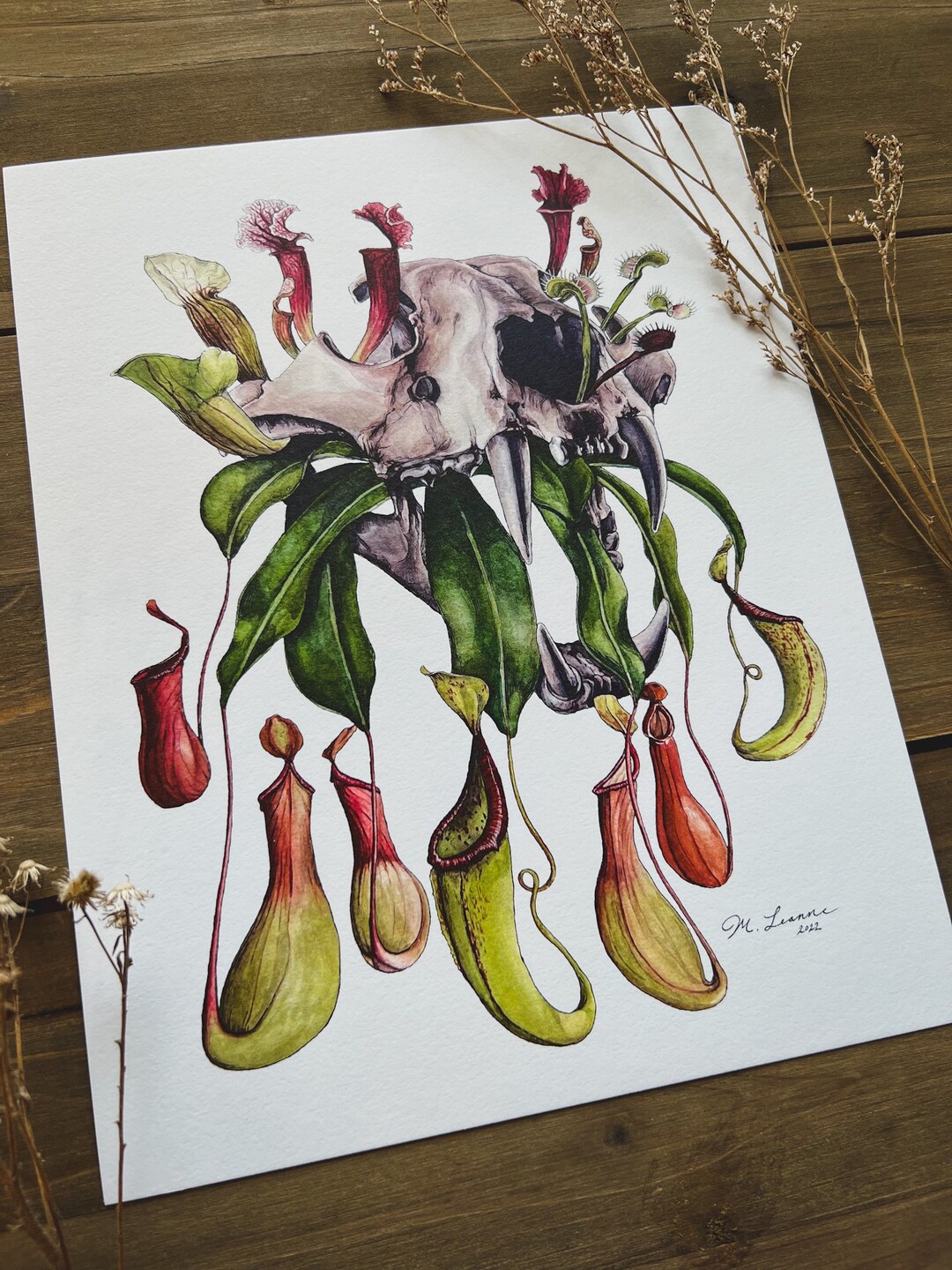 Carnivorous Fine Art Print, Tiger Skull, Carnivorous Plants, Pitcher ...