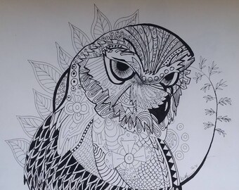 Print 8in x 8in Coloring page ink drawing of an owl. Signed and dated by artist