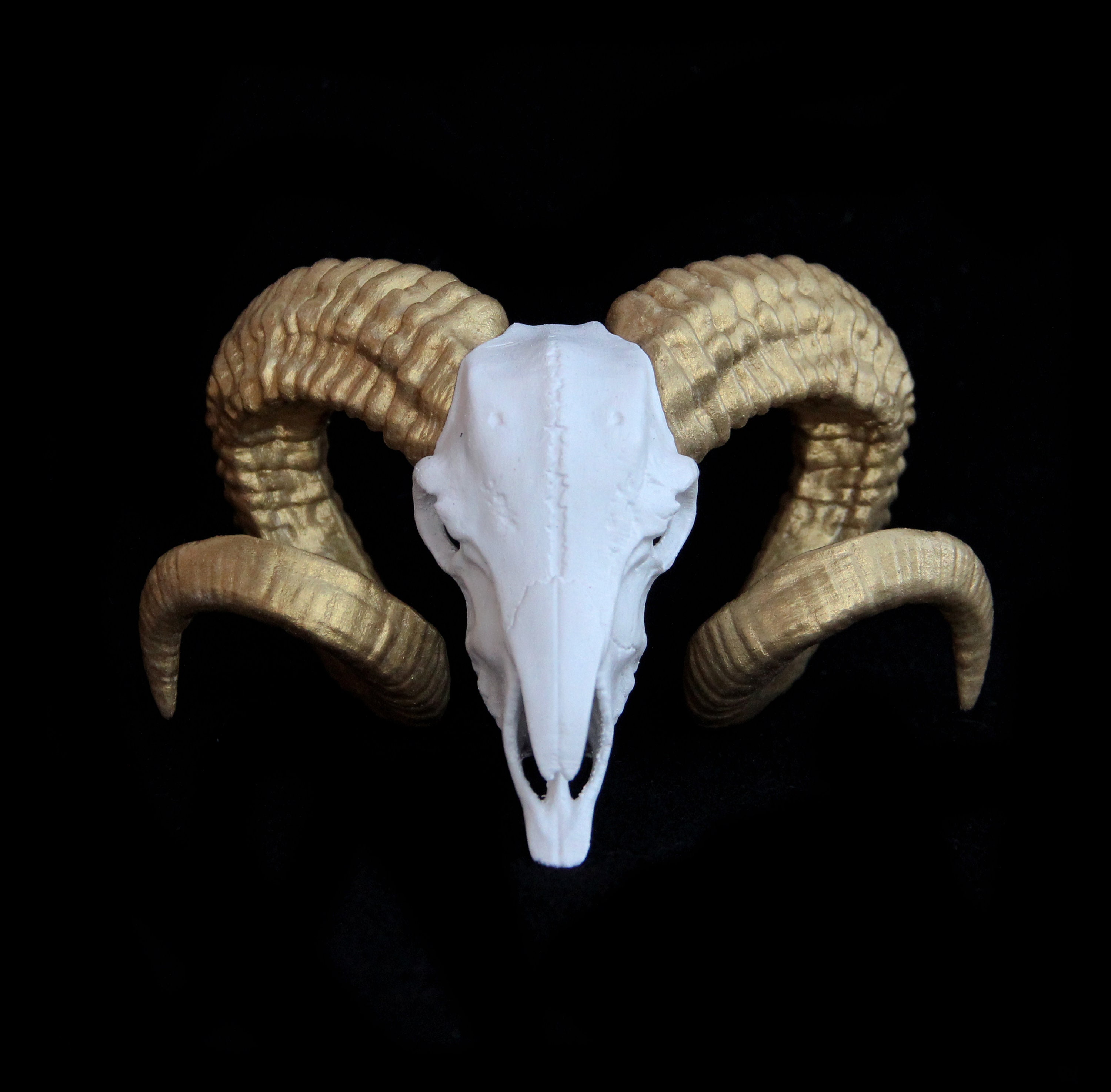 Ram Skull Horn White and Gold Antler Goat Skull Animal Etsy