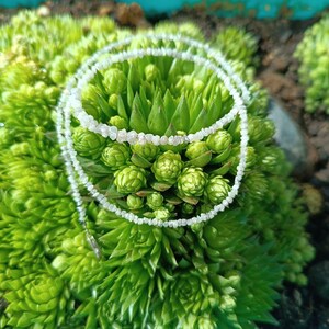 Puede incluir: Un delicado collar de piedras preciosas blancas hecho de pequeñas piedras facetadas. El collar se muestra sobre un lecho de suculentas verdes.