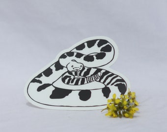 Rattlesnake Sticker