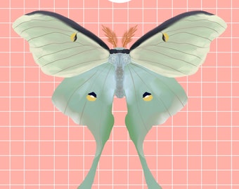 Puede incluir: Una polilla luna verde con antenas largas y delgadas y ojos amarillos está centrada en un fondo de cuadrícula rosa. Un círculo blanco está por encima de la polilla.