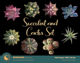 Succulents Clipart, Western Clipart, Botanical Clipart, Succulent PNG, Cactus Clipart, Greenery Clipart, Instant Download, Commercial Use