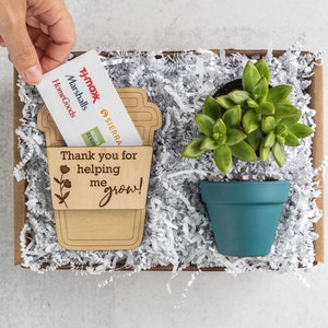 Teacher Appreciation Succulent Plant Gift Box: Thank you for Helping me Grow, Wood Card, Mentor Professor Therapist Doctor Mom Dad