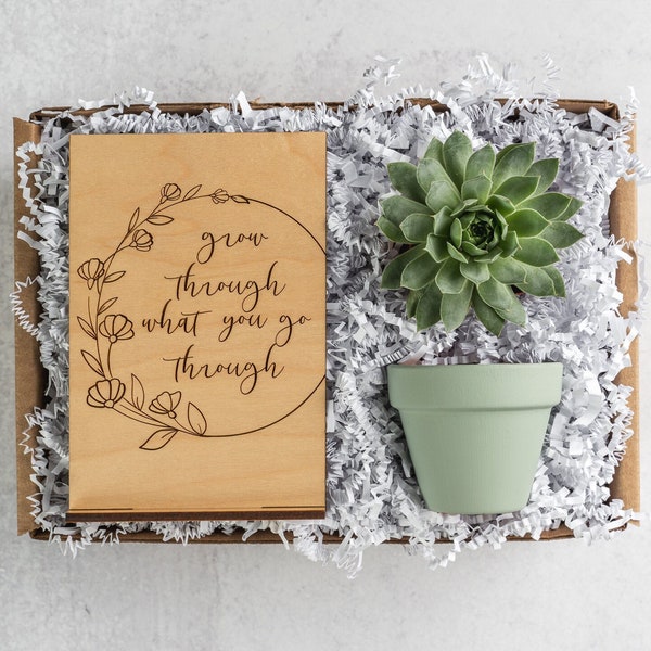 Grow Through What You Go Through Sympathy Care Package, Succulent Plant Gift Box, Divorce Break Up Gift