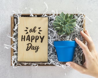 Sweet Happy Birthday Succulent Plant Gift Box,  Mom Grandma Grandpa Birthday Gift, Thoughtful Birthday Gift