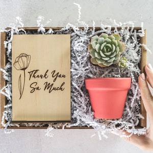 Thank You Succulent Gift Box for Her, Thinking of You Long Distance Gift for Sister, Thank You for Helping Me Grow Gift for Coworker