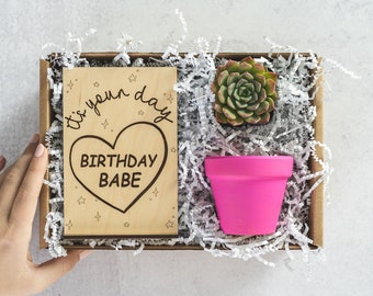 Birthday Babe, Succulent Gift Box, Wood Card, Birthday Gift for Her, Birthday Gift Box, Gift Box for Women, Happy Birthday Box, Gift Set