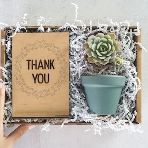Last Day of School Thank You Succulent Gift Box, Thank You for Helping Me Grow Gift Box, Teacher Appreciation Care Package for Her